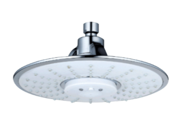 Multifunctional Universal Shower